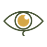 eye